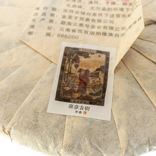 Шен Пуер Перший у всьому Рання весна Баньчжан