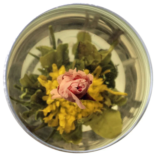 Східна красуня