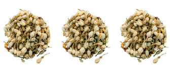 Бутони жасмину