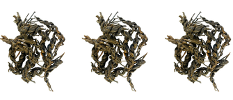 Шен Пуер Косичка