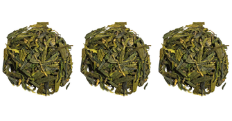 Сиху Лунцзин