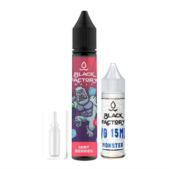Набір Black Factory Salt Mint Berry (Лісові ягоди М'ята) 30 мл 65 мг