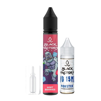 Набір Black Factory Salt Mint Berry (Лісові ягоди М'ята) 30 мл 50 мг