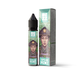 Набір Blizz Essence Spearmint (М'ята) 30 мл 65 мг Набір Blizz Essence Spearmint (М'ята) 30 мл 65 мг
