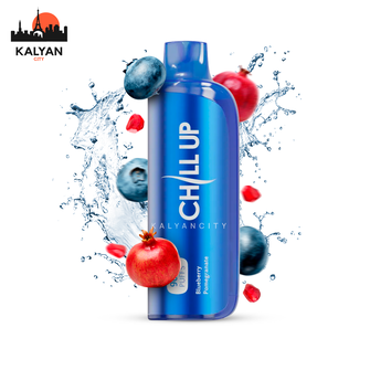 Chill Up 9000 Blueberry Pomegranate (Чорниця Гранат)