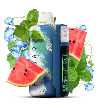 Elf Bar Nic King 30000 Chilly River (Кавун М'ята Лід)