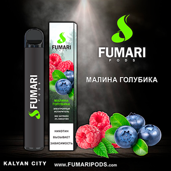 FUMARI PODS Raspberry Blueberry (Малина Лохина) 800 puff