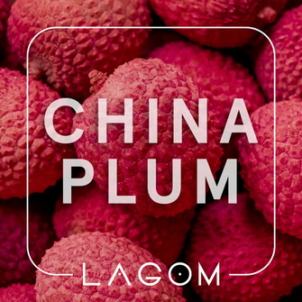 Табак Lagom Main China Plum (Личи) 200г