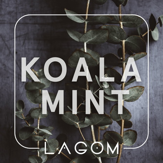 Тютюн Lagom Main Koala Mint (М'ятна жуйка) 200г