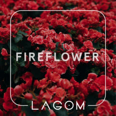Тютюн Lagom Navy Fireflower (Спеції) 200г
