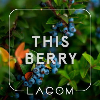 Тютюн Lagom Navy This Berry (Ягода) 200г