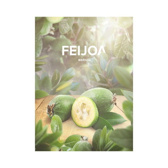 Тютюн 420 Tea Feijoa (Фейхоа) 125г