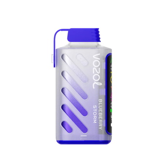 VOZOL GEAR 20000 Blueberry storm (Голубика)