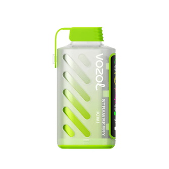 VOZOL GEAR 20000 Strawberry kiwi (Полуниця Ківі)