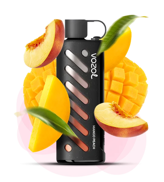 Vozol Gear Shisha 25000 Mango Peach (Манго Персик)