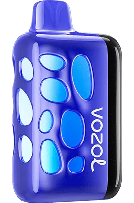 VOZOL RAVE 40000 Blueberry Watermelon (Чорниця Кавун)